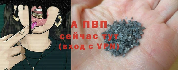 трава Бородино
