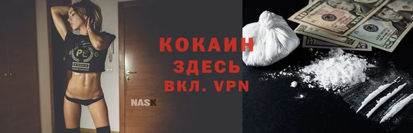 трава Бородино