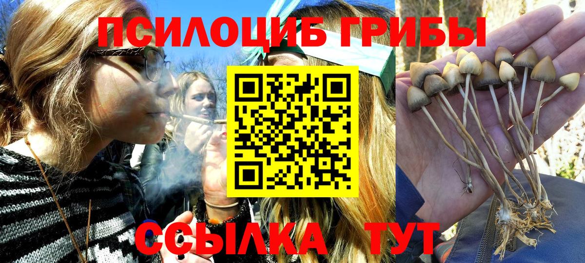 Кстово  цена   Вход с VPN  Псилоцибиновые грибы мицелий  Псилоцибиновые грибы Psilocybine cubensis 